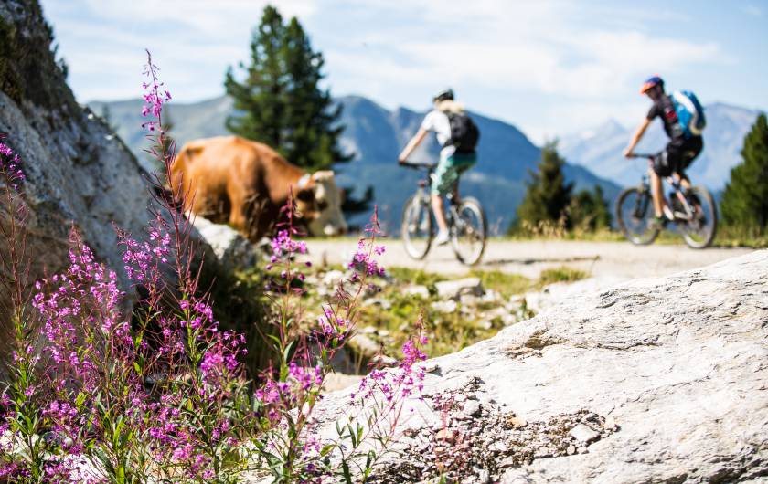 Mountainbiken Panoramatour Zell Gerlos Zillertalarena